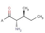 H-Ile-2-Chlorotrityl <span class='lighter'>Resin</span>