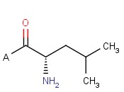 H-Leu-2-Chlorotrityl <span class='lighter'>Resin</span>