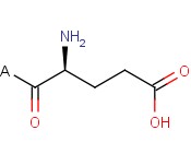 H-<span class='lighter'>Glu</span>-2-Chlorotrityl Resin