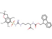 Fmoc-Arg(Pbf)-Wang <span class='lighter'>resin</span>