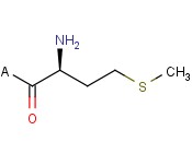 H-Met-2-Chlorotrityl <span class='lighter'>Resin</span>