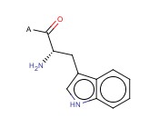 H-Trp-2-Chlorotrityl Resin