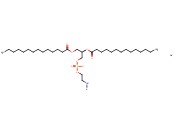 N-PEG-<span class='lighter'>2000</span>-DMPE, NA