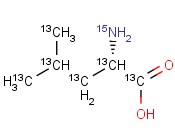 L-<span class='lighter'>LEUCINE</span>-UL-13C,15N