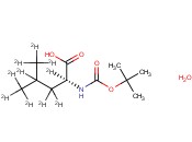 L-<span class='lighter'>LEUCINE</span>-D10-N-T-BOC H2O