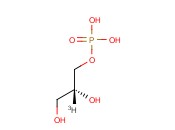 <span class='lighter'>GLYCEROL</span>-3-PHOSPHATE [2-3H]