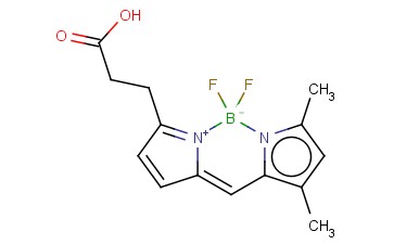 <span class='lighter'>3-BODIPY-PROPANOIC</span> ACID