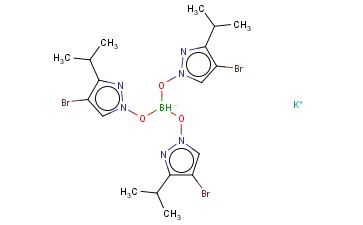 氢三(3-<span class='lighter'>异</span><span class='lighter'>丙基</span>-4-溴吡唑-1-基)<span class='lighter'>硼酸</span>钾盐