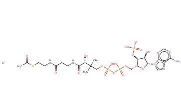 <span class='lighter'>ACETYL</span> COENZYME A, LI SALT