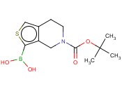 5-(<span class='lighter'>叔</span><span class='lighter'>丁</span><span class='lighter'>氧</span><span class='lighter'>羰基</span>)-3A,4,5,6,7,7A-六氢噻吩并[3,2-C]吡啶-2-基<span class='lighter'>硼酸</span>