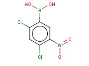 <span class='lighter'>2,4-DICHLORO</span>-5-NITROPHENYLBORONIC ACID