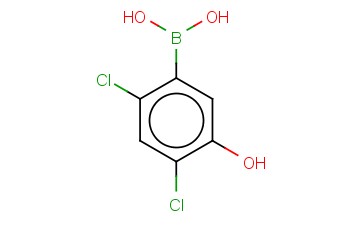 <span class='lighter'>24-</span><span class='lighter'>二</span><span class='lighter'>氯</span>-5-<span class='lighter'>羟基</span><span class='lighter'>苯</span><span class='lighter'>硼酸</span>