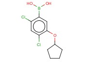 24-二氯-5-(环戊基氧基)<span class='lighter'>苯</span><span class='lighter'>硼酸</span>