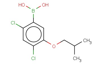 24-二氯-5-<span class='lighter'>异</span>丁氧基苯<span class='lighter'>硼酸</span>