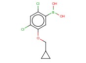 24-二氯-5-(<span class='lighter'>环</span><span class='lighter'>丙基</span>甲氧基)苯<span class='lighter'>硼酸</span>