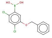 5-(<span class='lighter'>苄</span><span class='lighter'>氧基</span>)-24-二氯苯硼酸