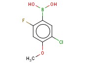 5-CHLORO-2-FLUORO-4-<span class='lighter'>METHOXYPHENYLBORONIC</span> ACID