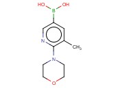 B-[5-<span class='lighter'>甲基</span>-6-(4-<span class='lighter'>吗</span><span class='lighter'>啉</span>基)-3-吡啶基]硼酸