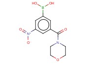 3-(MORPHOLINE-4-CARBONYL)-5-<span class='lighter'>NITROPHENYLBORONIC</span> ACID