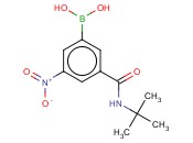 3-(T-BUTYLAMINOCARBONYL)-5-<span class='lighter'>NITROPHENYLBORONIC</span> ACID