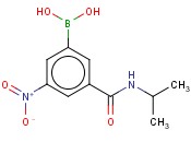 3-(ISOPROPYLAMINOCARBONYL)-5-<span class='lighter'>NITROPHENYLBORONIC</span> ACID
