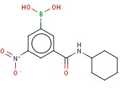 3-(CYCLOHEXYLAMINOCARBONYL)-5-<span class='lighter'>NITROPHENYLBORONIC</span> ACID