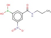 3-(N-PROPYLAMINOCARBONYL)-5-<span class='lighter'>NITROPHENYLBORONIC</span> ACID