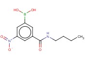 3-(N-BUTYLAMINOCARBONYL)-5-<span class='lighter'>NITROPHENYLBORONIC</span> ACID