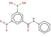 3-(PHENYLAMINOCARBONYL)-5-<span class='lighter'>NITROPHENYLBORONIC</span> ACID
