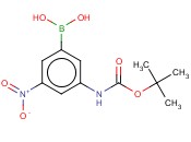 3-(TERT-BUTOXYCARBONYLAMINO)-5-<span class='lighter'>NITROPHENYLBORONIC</span> ACID
