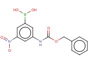 3-(BENZYLOXYCARBONYLAMINO)-5-<span class='lighter'>NITROPHENYLBORONIC</span> ACID