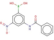 3-BENZAMIDO-5-<span class='lighter'>NITROPHENYLBORONIC</span> ACID