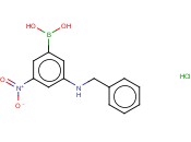 3-(苄基氨基)-5-<span class='lighter'>硝基苯</span>基硼<span class='lighter'>酸盐酸盐</span>
