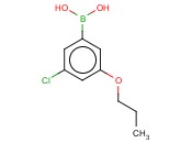 3-氯-5-<span class='lighter'>丙</span><span class='lighter'>氧基</span><span class='lighter'>苯</span><span class='lighter'>硼酸</span>