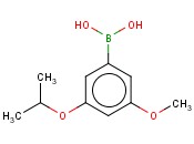 3-ISOPROPOXY-5-<span class='lighter'>METHOXYPHENYLBORONIC</span> ACID