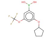 3-(环戊基氧基)-5-(三<span class='lighter'>氟</span><span class='lighter'>甲</span>氧基)<span class='lighter'>苯</span>硼酸