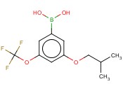3-异丁<span class='lighter'>氧基</span>-5-(<span class='lighter'>三</span><span class='lighter'>氟</span><span class='lighter'>甲</span><span class='lighter'>氧基</span>)<span class='lighter'>苯</span>硼酸