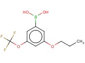 3-<span class='lighter'>丙</span><span class='lighter'>氧基</span>-5-(三氟甲<span class='lighter'>氧基</span>)<span class='lighter'>苯</span><span class='lighter'>硼酸</span>