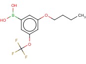 3-丁氧基-5-(三<span class='lighter'>氟</span><span class='lighter'>甲</span>氧基)<span class='lighter'>苯</span>硼酸