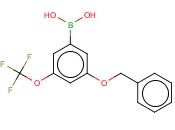 3-(苄氧基)-5-(三<span class='lighter'>氟</span><span class='lighter'>甲</span>氧基)<span class='lighter'>苯</span>硼酸