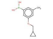 3-(环丙基甲<span class='lighter'>氧基</span>)-5-甲基<span class='lighter'>苯</span><span class='lighter'>硼酸</span>