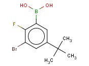 3-BROMO-5-T-BUTYL-2-<span class='lighter'>FLUOROPHENYLBORONIC</span> ACID