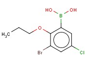 3-BROMO-5-CHLORO-2-<span class='lighter'>PROPOXYPHENYLBORONIC</span> ACID
