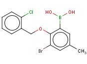 3-Bromo-2-(2'-chlorobenzyloxy)-5-methylphenylboronic acid