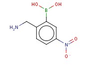 2-(AMINOMETHYL)-5-<span class='lighter'>NITROPHENYLBORONIC</span> ACID