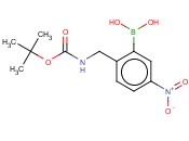 2-((TERT-BUTOXYCARBONYLAMINO)METHYL)-5-<span class='lighter'>NITROPHENYLBORONIC</span> ACID