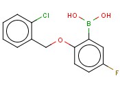 2-(2-CHLOROPHENYLMETHOXY)-5-<span class='lighter'>FLUOROPHENYLBORONIC</span> ACID
