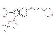 2-硼-5-[2-(4-<span class='lighter'>吗</span><span class='lighter'>啉</span>基)乙氧基]-1H-吲哚-1-羧酸-1-(1,1-二<span class='lighter'>甲基</span>乙基)酯