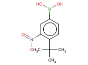 4-TERT-BUTYL-3-<span class='lighter'>NITROPHENYLBORONIC</span> ACID