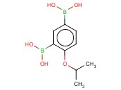 4-异丙氧基-1,3-亚苯基二硼酸
